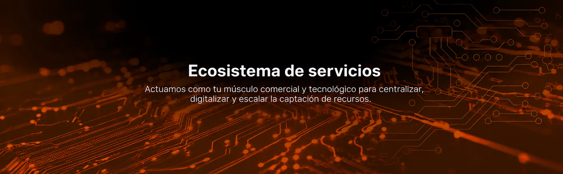 Nuestros servicios de captación y gestión de recursos